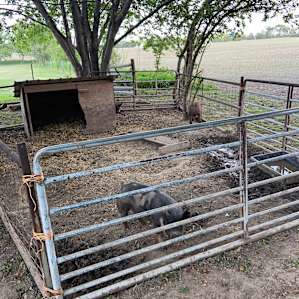 Farm site