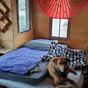 Juniper camp