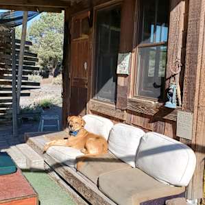 Juniper camp
