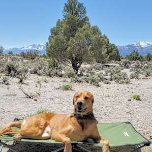 Juniper camp