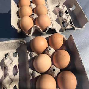 Farm Fresh Eggs