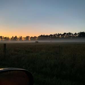 beautiful sunrise across the padocks