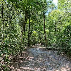 Pearly Oaks RV