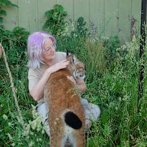 The lynx was purring and hugging me. The opportunity to do this is once in a lifetime, don't miss it.