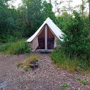 Yurt tent !
