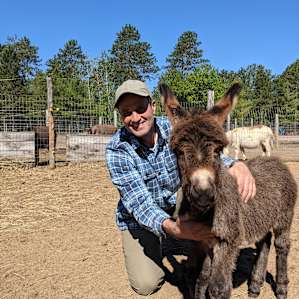 Oliver the baby donkey!