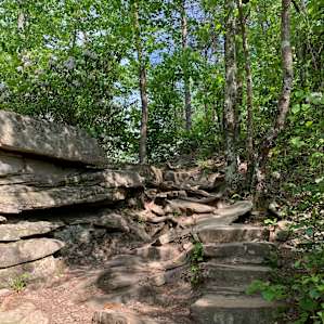 Fall Creek Falls short hike. Cool rocks everywhere.