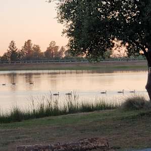 A7 - Waterfront at Finnon Lake