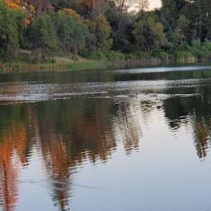 A7 - Waterfront at Finnon Lake