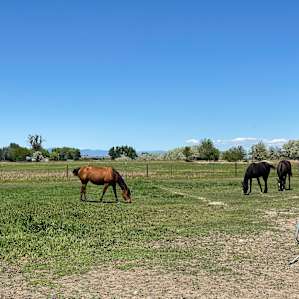 Country setting for RV