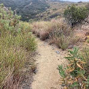 Beautiful morning hike.