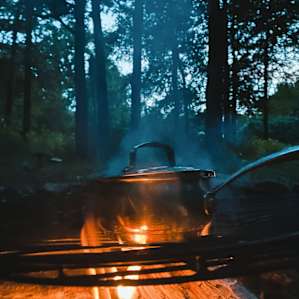 Main Camp