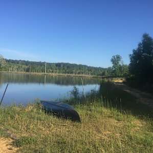 Camp Strong Wood