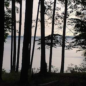 Looking out towards the lake from site 3
