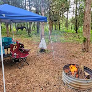 Tent Camping with Horses