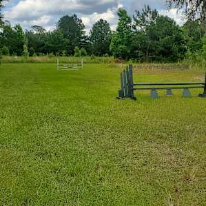 Peaceful area to stroll