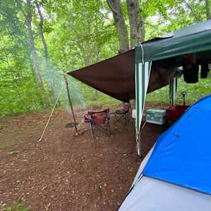 Twin Poplar Farm / In the Woods