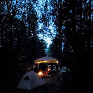 Camp Sasquatch