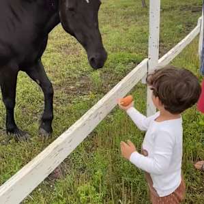 Off the grid ranch