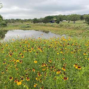 Off the grid ranch
