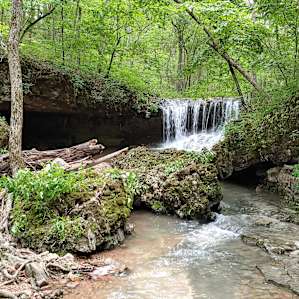 Creek-side tent camp