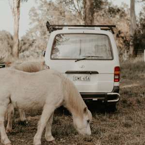 River Camping Yarramundi