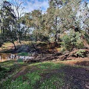 @Hammans Place - Fairbridge Paddock