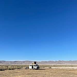 Carrizo Plain Oasis