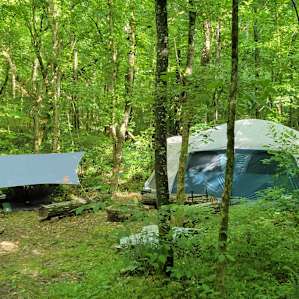 Camp site with my hammock set up.