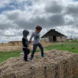 Fun place to take kids to see a farm