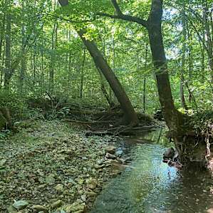 Holland Creek Camp