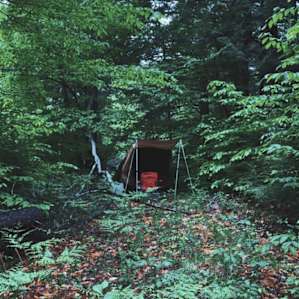 Holcomb Timber Farm