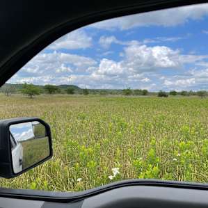 Beautiful plains