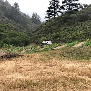 Scenic Farm Group Camping