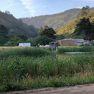 Scenic Farm Group Camping