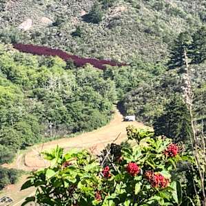 Scenic Farm Group Camping