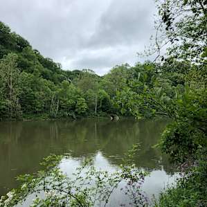 Muddy river because of rain