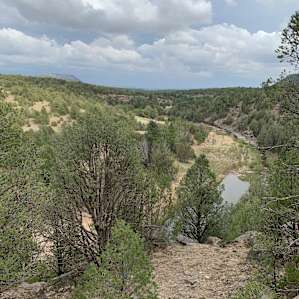 View from the bluff near the cabin