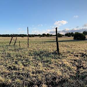 Exploring the property