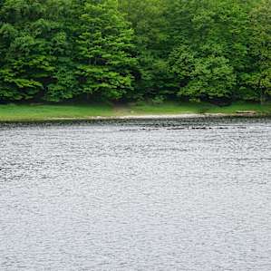 Riverfront Camspite