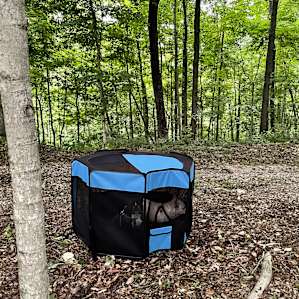 Cherry Hill Farm Tent Sites 5-8