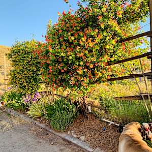 Peace and quiet with a 360° view