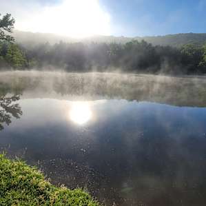 Morning fog
