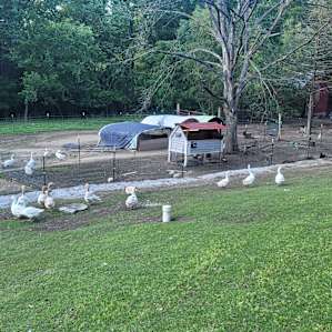 Farm