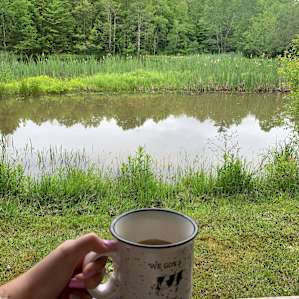 The pond in front of the cabin