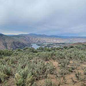 The view of the Columbia from our site.