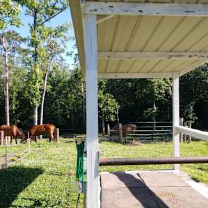 View from our site