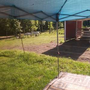 View from our site