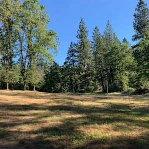 Chez d Acres, a Gentleman’s Ranch