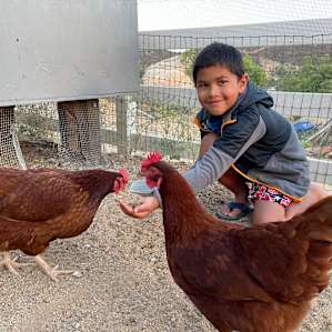 Being a kid in the chicken coop